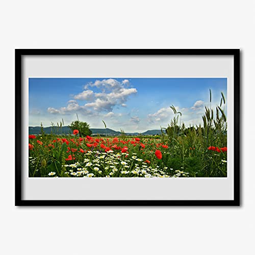 Affiche encadrée murale grand format 70x50 cm cadre en MDF image photo nature