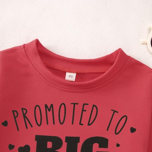 MODNTOGA Toddler Girl Big Sis Crewneck Sweatshirt Promoted To Big Sister Graphic Shirt Baby Sister Love Print Pullover Tops4
