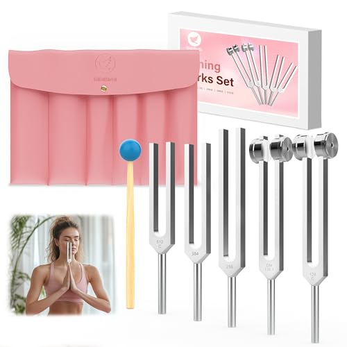 DiDiBirDi Set van 5 stemvorken (128 Hz, 136,1 Hz, 256 Hz, 384 Hz, 512 Hz) met PU-lederen etui en rubberen hamer voor yoga, meditatie, ontspanning