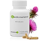CARDO MARIANO * 200 mg / 60 cápsulas * Cardiovascular, Cinetosis, Digestión (hígado), Mujeres (síndrome premenstrual) * Garantía de satisfacción o reembolso * Fabricado en Francia