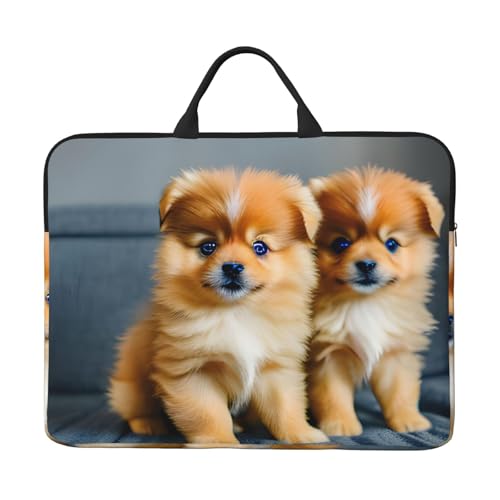 [RFSHOPQR] Pomeranians Puppies and Point Print �m�[�g�p�\�R�� �P�[�X �X���[�u �m�[�g�u�b�N �ϏՌ��w�Z ���s