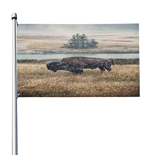 Bandera decorativa grande de 3 x 5 pies, bandera de bienvenida de barlovento, bandera de jardín Niuhe resistente a los rayos UV, bandera de temporada para patio, césped, casa, 150 x 90 cm