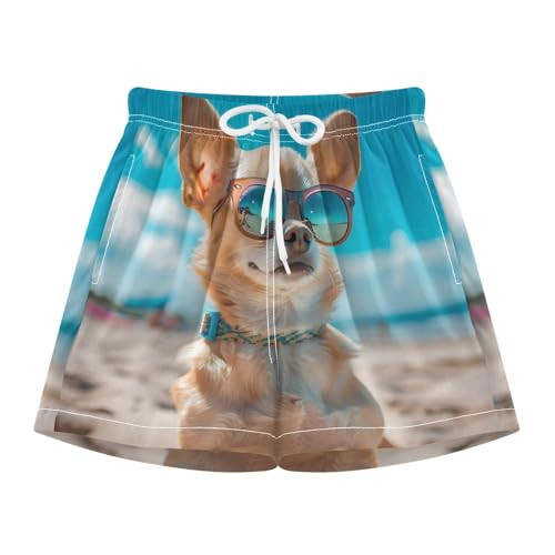 Boy's Beachwear Board Shorts Swim Trunks with Boxer Brief Liner 8Y Chihuahua Dog