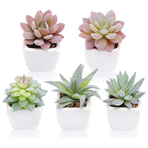 FUNARTY 5pcs Artificial Succulent Plants, Small Fake Desk Plants Mini Succulents Indoor for Shelf Living Room Bedroom Windowsills Office Home Decoration (Include White Ceramic Pots) Cover