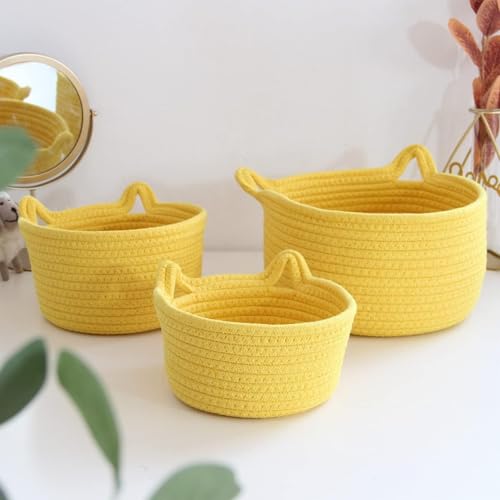 Rtwrsud[ oXPbg Rbg[v [voXPbg oXPbg JS [ [oXPbg  sN  18*10cm JS  [v  L̎ 傫/ ^/[^ Vv k_ (CG