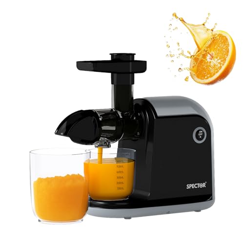 Cold Press Juicer Machine, Slow Masticating Juicers for Whole Fruits and Vegetables, Gentle Chew No Need to Filter - BPA Free Juice Extractor with Quiet Motor and Reverse Function, 2 Cups and Brush