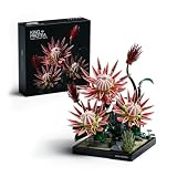 Nifeliz King Protea Set de construcción Floral, Botánica Silvestre, NF10385