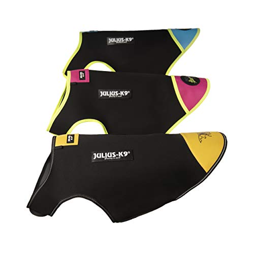 JULIUS K-9 IDC Neoprene Hundekleidung, Size: S, Schwarz und Gelb
