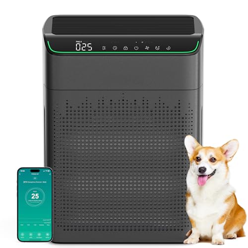 Air Purifiers for Home Large Room Up to 1690 ft² with PM 2.5 Air Quality Monitor, Wi-Fi and Alexa compatible, HEPA Filter Double-sided Air Inlet for Smoke and Odor, 1 Pack+2 Pack Filters Bla