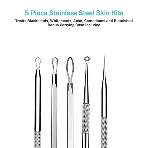 Facial Steamer EZBASICS Nano Ionic Face Steamer for Home Facial, Warm Mist Humidifier Atomizer for Face Sauna Spa Sinuses Moisturizing, Unclogs Pores, Bonus Stainless Steel Skin Kit(Blue)