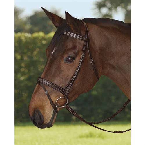 Dover Saddlery TRU-Fit Build-A-Bridle Flash Noseband, Color: Chocolate, Size: Cob-C/S