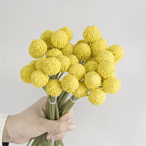 Avivilea Ramo de flores artificiales de craspedia globosa para decoración de bodas, hogar, fiesta, oficina (amarillo claro)