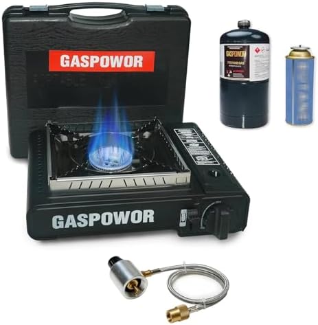 Propane or Butane Stove with Windblocker, Dual Fuel 10,000 BTU Propane Stove for Camping, Automatic Ignition, Gas Portable Stove with Propane Adapter Hose Carrying Case for Hiking (Fuel Not Included)