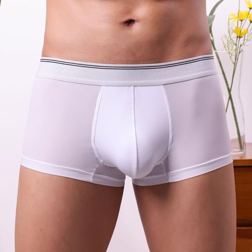 Mens Underwear Microfiber Performance Boxer Briefs for Men Mid-waist Skin-friendly Breathable Lightweight Panty3