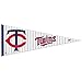 MINNESOTA TWINS FULL SIZE 29" FELT PENNANT
