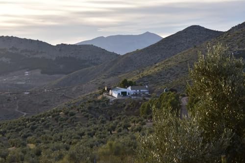 Vitamínicos, Imagen adicional