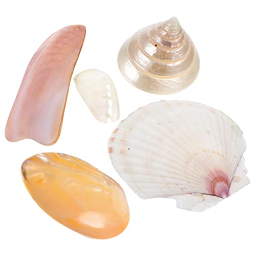 ULDIGI 5 Piezas Accesorios de Tiro la Mesa de Playa se dispersa Conchas Marinas Naturales caracola Home Decor decoração casa Conchas Marinas Grandes para Manualidades decoración de Concha