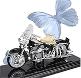 Strumento di divulgazione scientifica: il modello di motocicletta può mostrare in modo intuitivo la struttura principale della motocicletta (ad esempio: motore, telaio, sospensioni, cambio, ecc.), aiutando i giovani o gli appassionati di meccanica a comprenderne i principi meccanici.