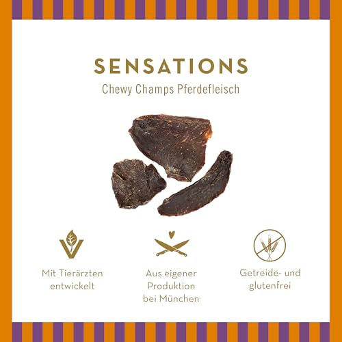 Terra Canis Sensations Chewy Champs - Pferdefleisch 100g I Natürliche, getrocknete Kauartikel I Beschäftigung durch Kauen | Ergänzungsfuttermittel für Hunde