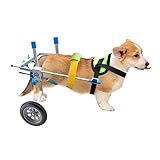 8 Strategies De Bricolage Pour Chiens En Fauteuil Roulant Apprenez A Construire Un Chien 101 Chien Dans La Maison