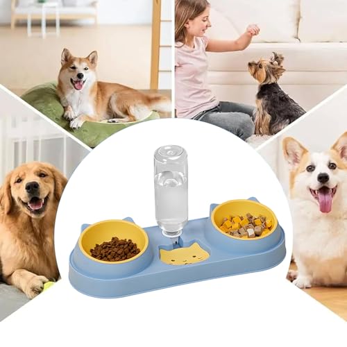 Distributeur d'eau et double gamelle pour chat avec support et cuillères