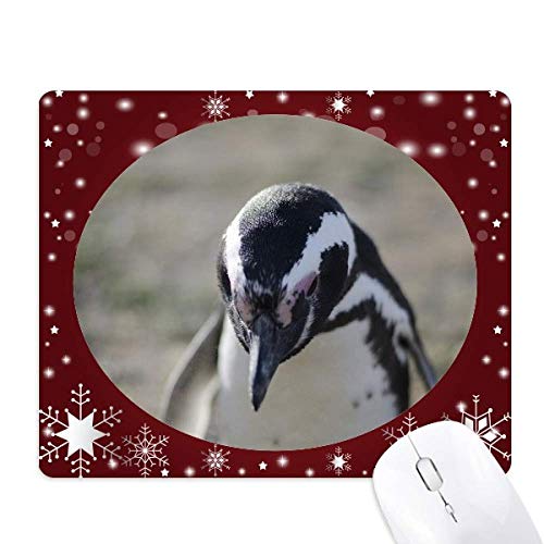 Tapis de souris pingouins glisse fluide surface anti-dérapante hiver