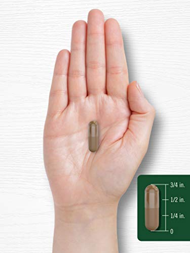 Carlyle CL3112 Valerian Root Capsules | 240 Count | Herb Extract Supplement thumb #6