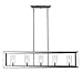 Golden Lighting 2074-LP CH-CLR Smyth Linear Pendant, Chrome
