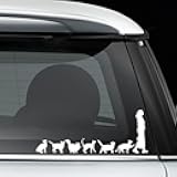 Crazy Cat Lady Woman Pet Funny Decal Vinyl Sticker White Cars Trucks SUV Laptops Walls Glass Metal - 7.5 inches