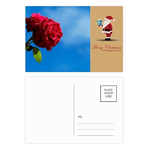 Cartes postales Père Noël bleu ciel roses rouges : transmettez votre amour