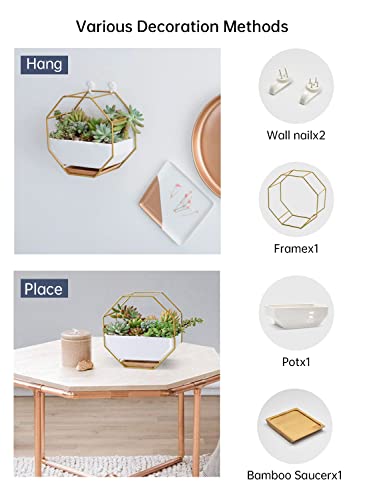 Succulent Planters 7×3.5 Inch Decorative Ceramic Flower Plant Pots with Metal Holder Hanging and Place Dual-Purpose Garden Planter Pot with Drainage and Saucer for Indoor Home Office Desktop