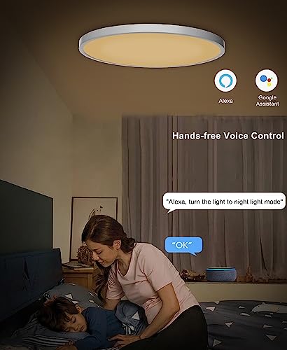 Ceiling Light LED Dimmable Flush Mount Flat RGB Smart Alexa Google Home WiFi with Remote Control for Living Room Bedroom Dinning Kitchen Hallway Bathroom 12Inch 24W White - Image 6