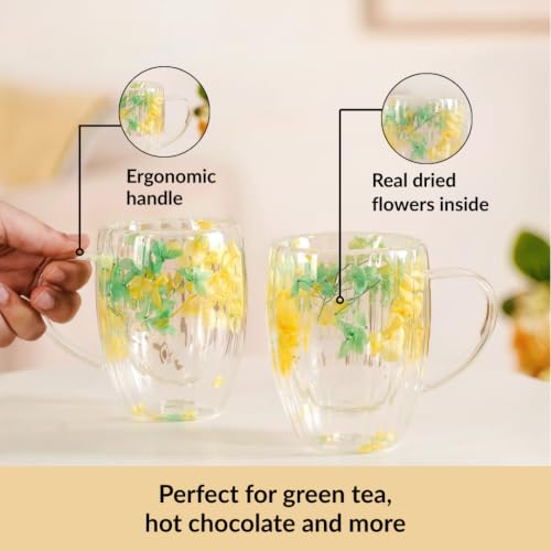 Image of Nestasia Double Wall Glass Mug with Dried Flowers Set of 2 (350ml Each) - Transparent Borosilicate Floral Glass Tea Cups | Lightweight & Durable Coffee Mugs - Perfect for Gifting (Yellow & Green)