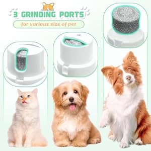 4 in 1 Dog Grooming Kit, Cordless Dog Clippers for Grooming, Low Noise Paw Trimmer Electric, Cat Hair Clippers Kit with Nail Grinder,Rechargeable Pet Hair Shaver for Small & Large Dog Cat Pet 4 in 1 Dog Grooming Kit, Cordless Dog Clippers for Grooming, Low Noise Paw Trimmer Electric, Cat Hair Clippers Kit with Nail Grinder,Rechargeable Pet Hair Shaver for Small & Large Dog Cat Pet