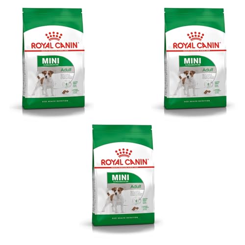 Royal Canin Mini Adult | Paquete Triple | 3 x 800 g | Alimento Completo para Perros de Razas pequeñas | Ácidos grasos Omega-3 para la Piel y el Pelaje | Contenido energético Ajustado