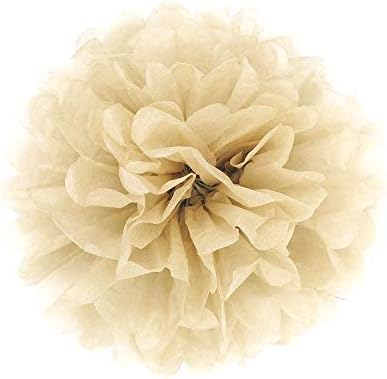 JZK 10 Tissue pom poms 10 inch 25 cm pompoms decorations accessories for wedding birthday baby shower hen night holy communion graduation baptism party supplies Christmas Halloween bedroom hanging paper flower balls (white)