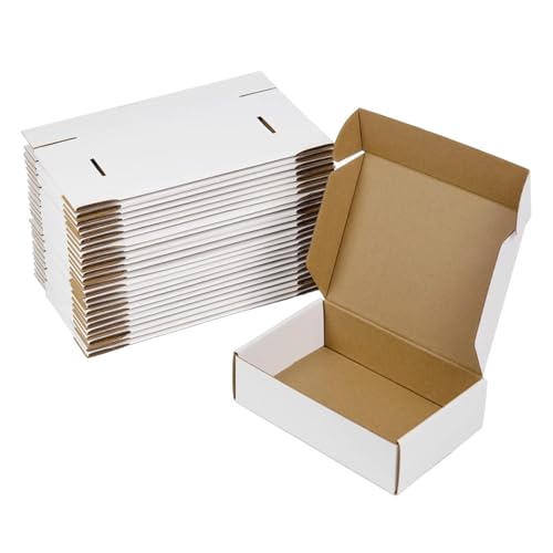 ZxeluPapr 20 Pack 12x9x4 Shipping Boxes, White Corrugated Cardboard Packaging Box for Small Business