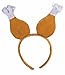 Forum Men's Novelty Turkey Drumstick Headband, Multi, One Size