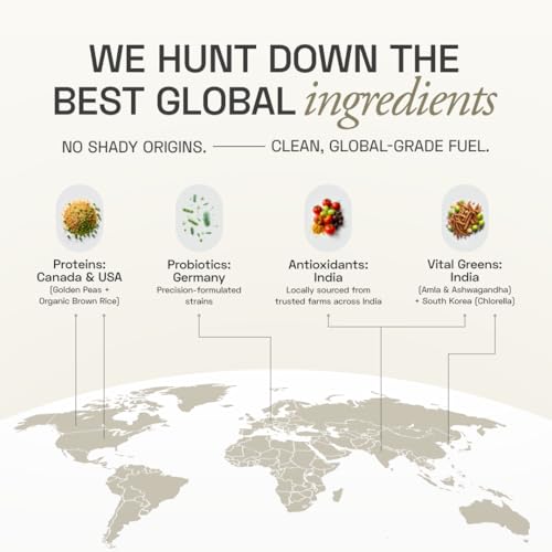 Image of Ace Blend Daily 20G Plant Protein (5 Servings) | Pea & Brown Rice Isolate | 3 Vital Greens 4 Antioxidants 3 Probiotics | Boosts Strength, Recovery & Fat Loss | No Added Sugar | Unisex | Green Lemonade