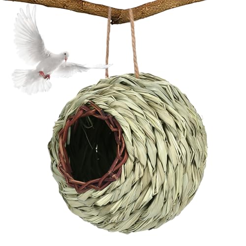 ▷ Mejores Libros de Biodiversidad En El Hogar 2025 10 Casa de colibrí – Casa para pájaros al aire libre – Decoración natural para patio, balcón, césped, patio, árbol, ventana del hogar