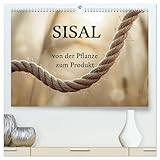SISAL - von der Pflanze zum Produkt (hochwertiger Premium Wandkalender 2027 DIN A2 quer), Kunstdruck in Hochglanz: Vom Feld zur Faser