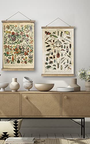 Shoxrem Vintage Poster,Rustic Art Prints, Retro Style Of Wall Hanging For Living Room Office Classroom Bedroom Playroom Apartment Decor. (Insects Entomology 1Panels, 16“ X 24”) #TOP6