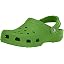 Parrot Green