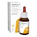 Produktbild BEECRAFT Propolis Tinktur 30% 30 ml
