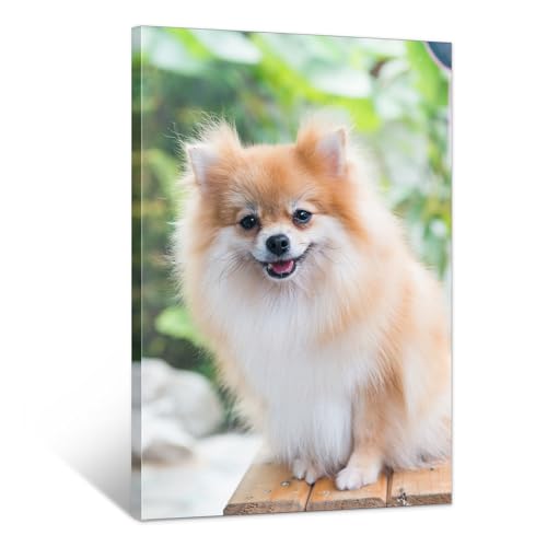 16'' W X 24'' H / 16"L x 24"W
