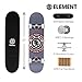 Element Icon Gray Skateboard 31