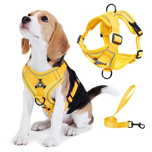 Jolifield No Pull Dog Harness with Leash Set for Small Sized Dog, Reflective Adjustable No Choke...