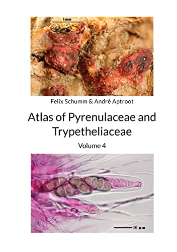 Atlas of Pyrenulaceae and Trypetheliaceae Vol 4: Lichenized Ascomycota