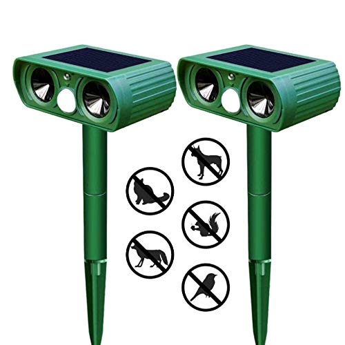 L悯 g L  ˂ ǔL 쏜 L悯ObY ǔL ΍ L }[LO ӂ C^Y 2Zbg