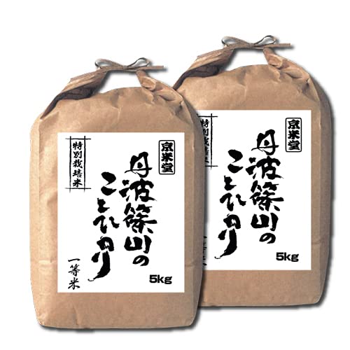 yV āz 10kg RVqJ  5kg×2 OgRY ʍ͔| 7.5_ Ɍ  ꓙ ߘa7NY